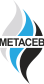 Метанол Севреный